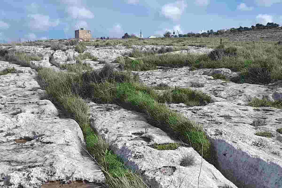 cart ruts e sullo sfondo una torre