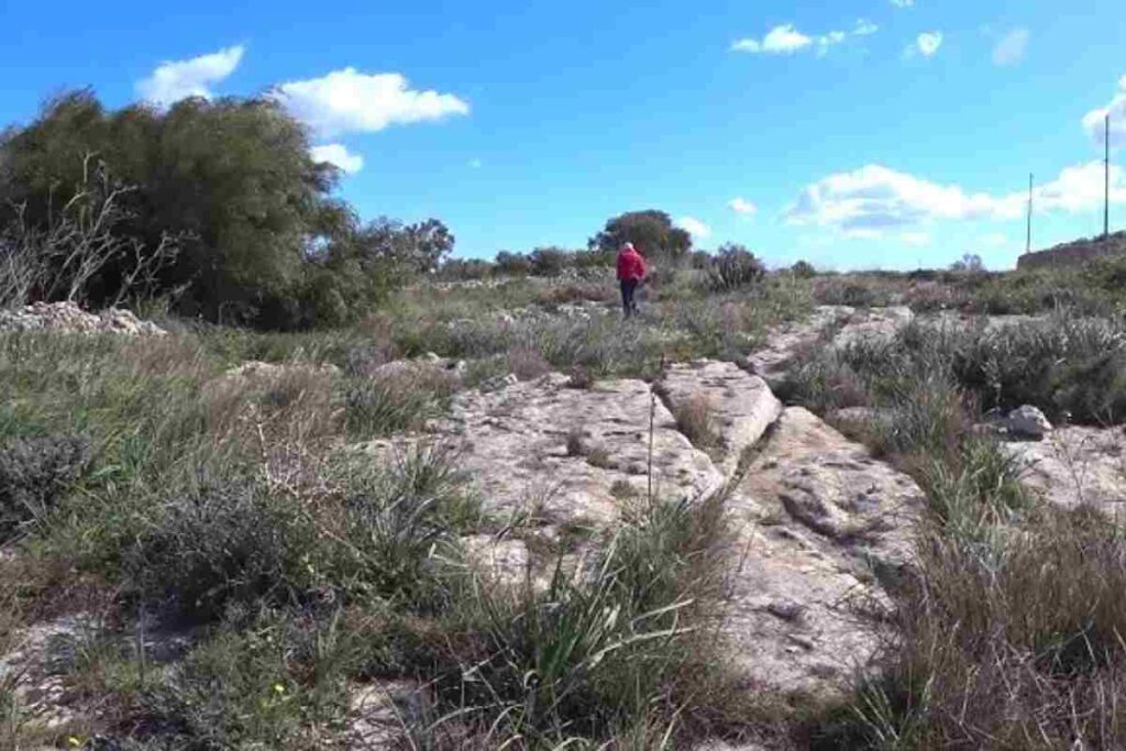 persona passeggia tra cart ruts