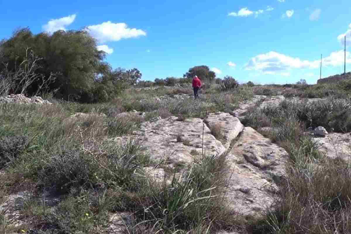 persona passeggia tra cart ruts
