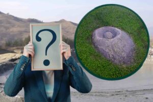 sullo sfondo ricostruzione del cratere, davanti una persona con un punto interrogativo in un quadro e nel cerchio il cratere visto dall'alto