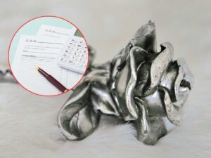 rosa d'argento e tabella con penna