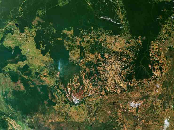 deforestazione amazzonica