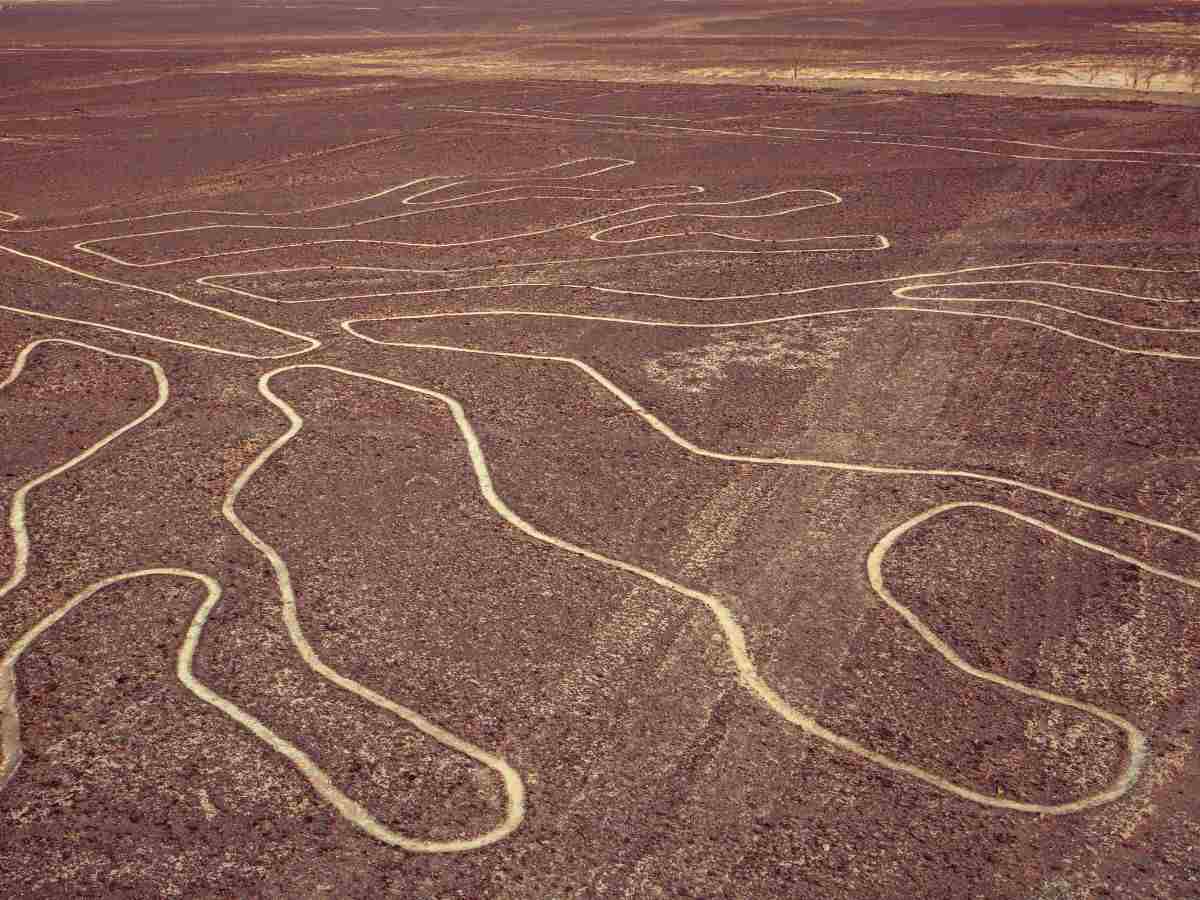 disegno delle linee di nazca in perù