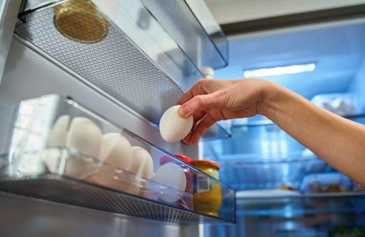 donna mette uovo nel frigorifero