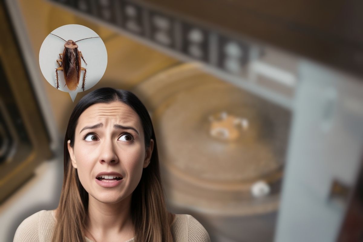 forno a microonde aperto, donna spaventata e scarafaggio